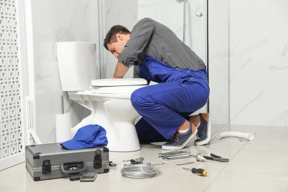 Toilet Repair in Los Ebanos